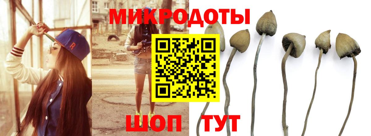 Рязань  Псилоцибиновые грибы ЛСД  Вход с VPN 