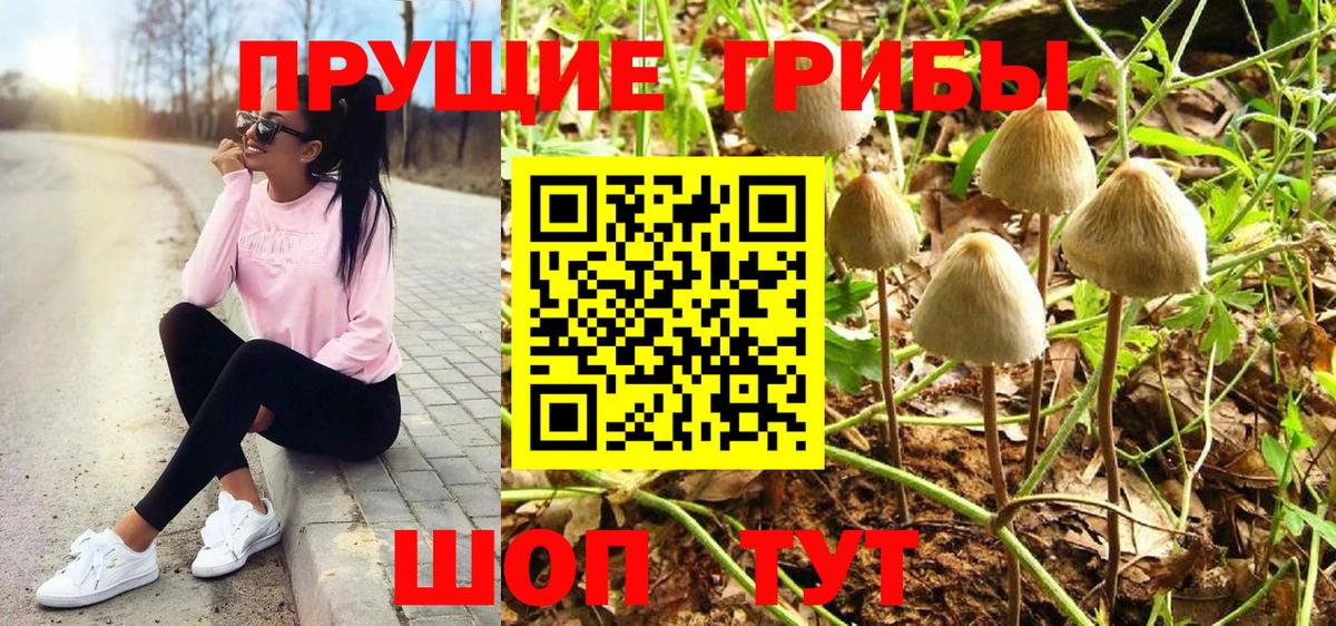 Псилоцибиновые грибы GOLDEN TEACHER Рязань